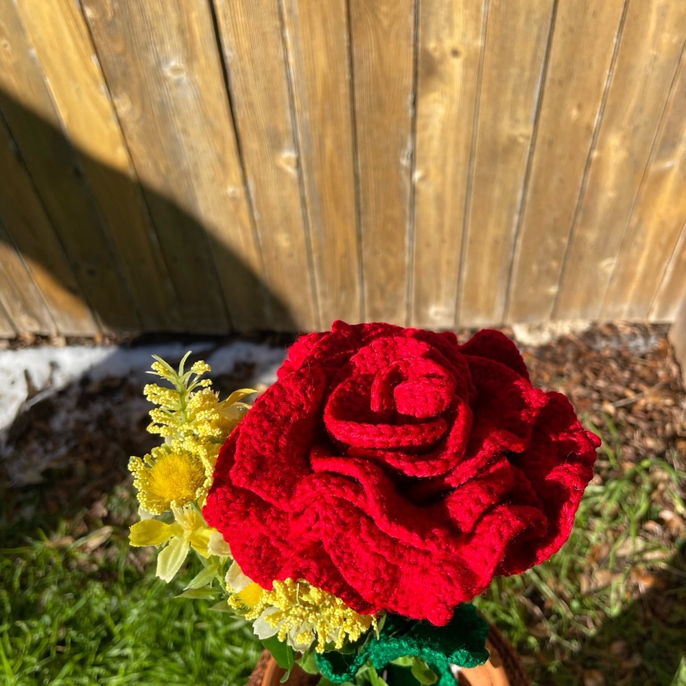 Crochet Roses - Picture 14 of 16